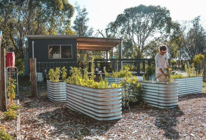 בית מלון כפרי Tathra Beach Eco Camp