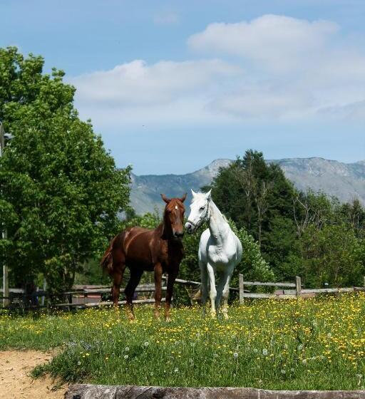بنسيون La Vrata Gialla