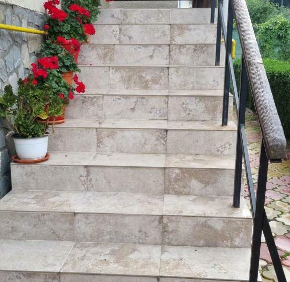 פנסיון Vila Emily