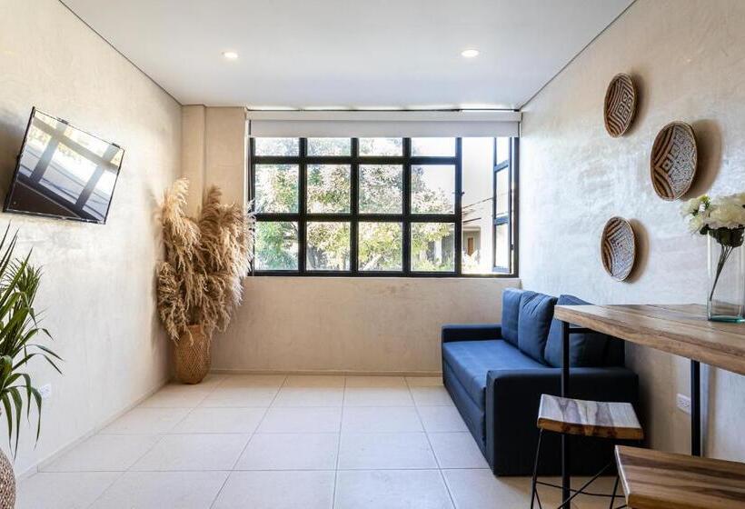 Soy Local Santa Marta