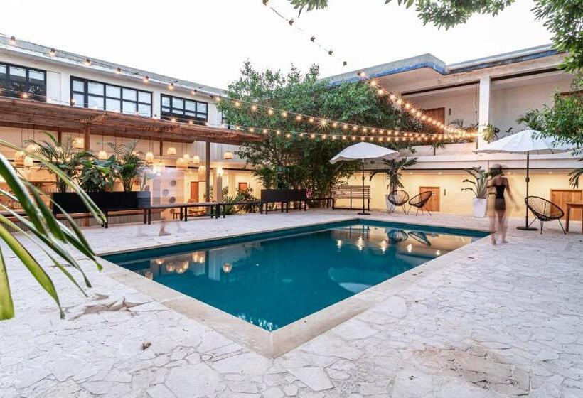 Soy Local Santa Marta