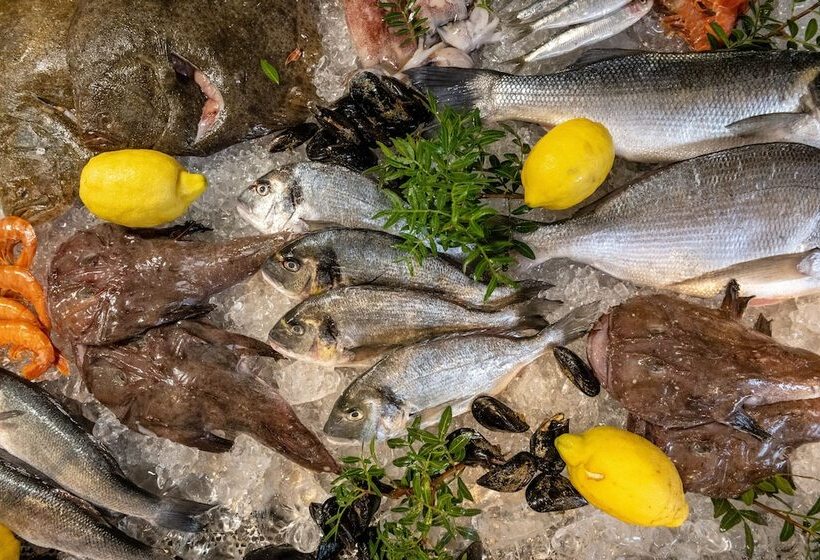 Talaia Plaza Ecoresort Begur