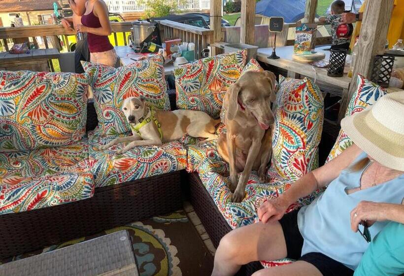 The Fifth Promise   A Cozy Lakehouse Retreat