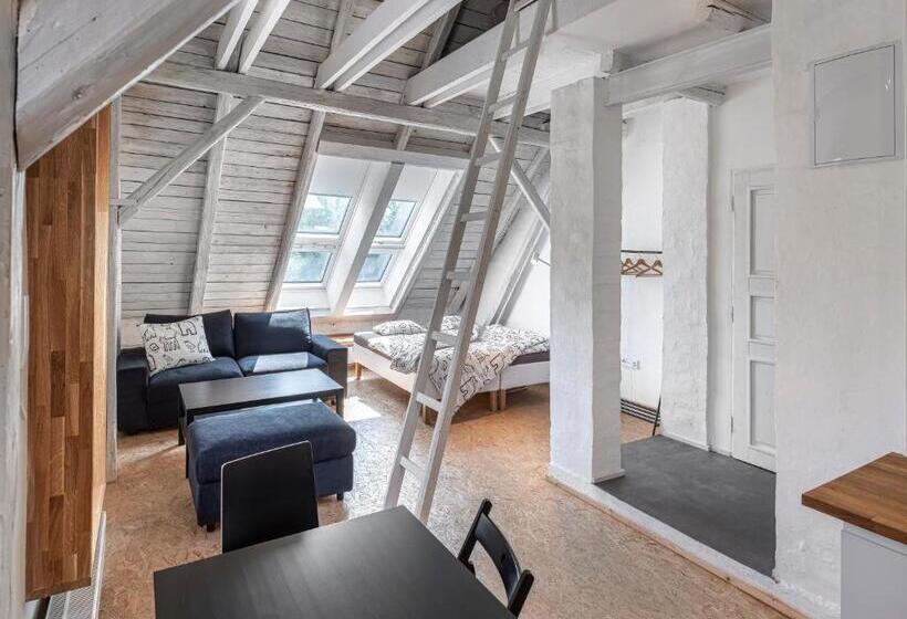 Tiny House, Podkrovní Apartmán A Apartmán S Výhledem Do Zahrady