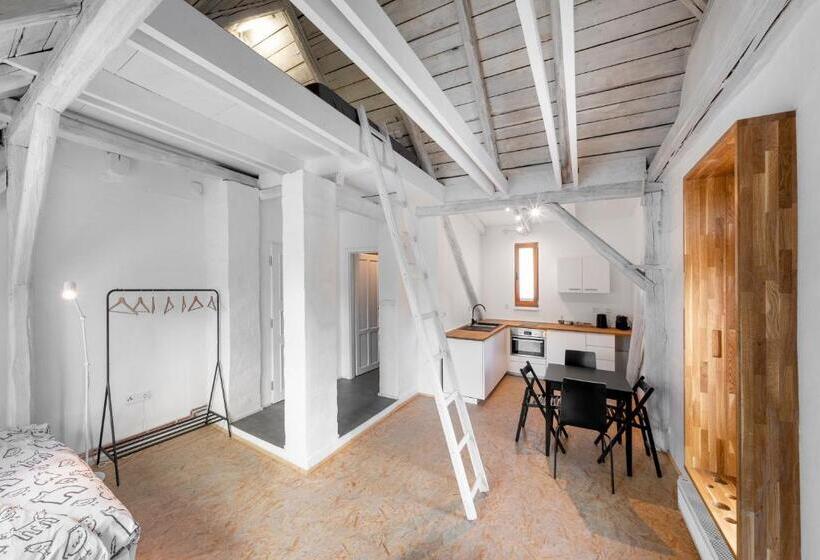 Tiny House, Podkrovní Apartmán A Apartmán S Výhledem Do Zahrady