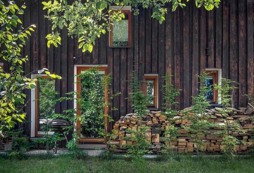 Tiny House, Podkrovní Apartmán A Apartmán S Výhledem Do Zahrady