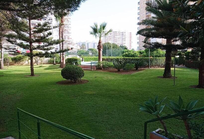 Tres Delfines Solo Familias Serviplaya