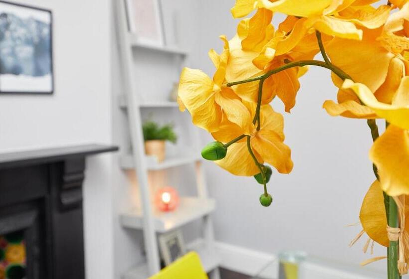 Large Derby Cathedral Town House   Sleeps 8 W Parking