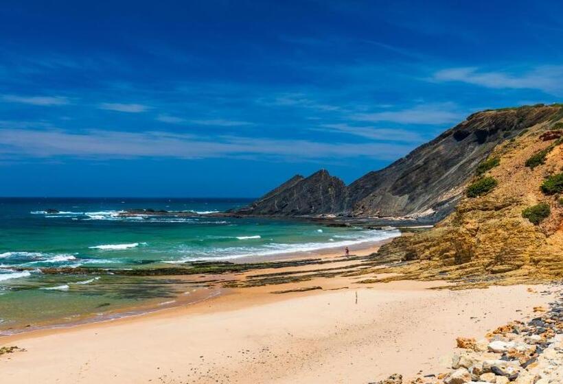 A Gaivota Walking Distance To Monte Clerigo And Amoreira Beaches