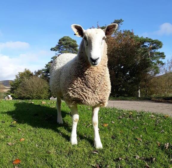 Beautiful Traditional Secluded Country Cottage
