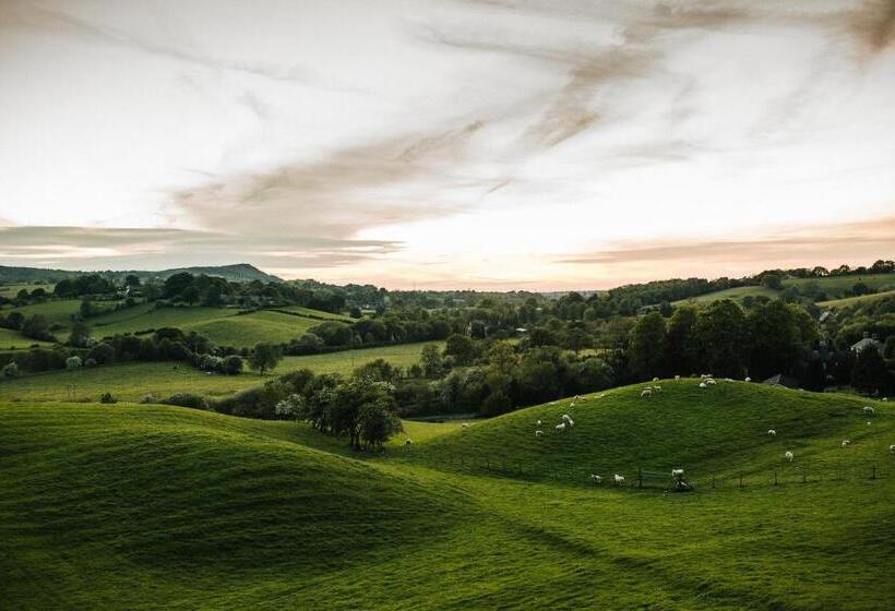住宿加早餐  Heaton House Farm