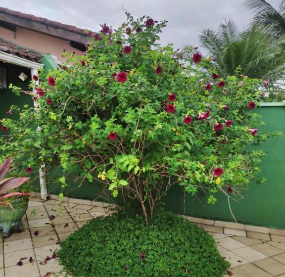 Casa Com Piscina Morada Da Praia