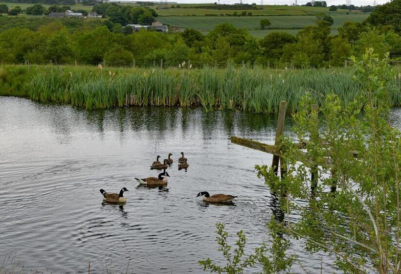 Derecroft Glamping Luxury Lodgepods