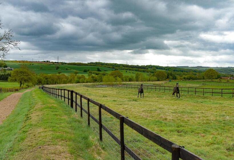 Derecroft Glamping Luxury Lodgepods