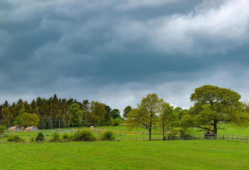 Derecroft Glamping Luxury Lodgepods