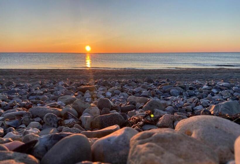 Fewo Kolibri  Mit Waschmaschine