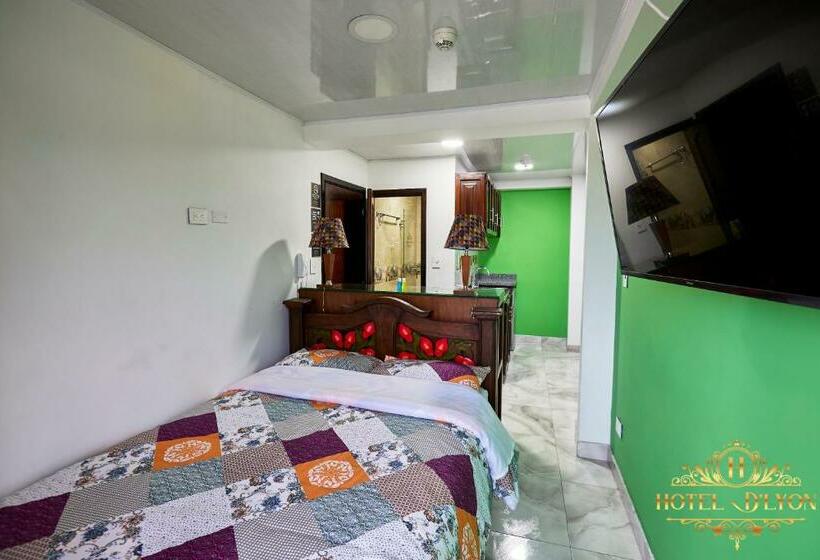 酒店 Hôtel D’lyon