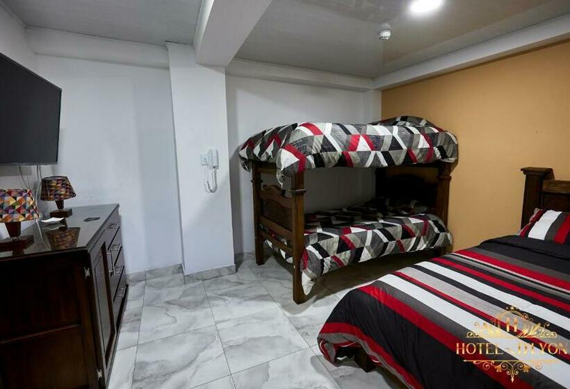 هتل Hôtel D’lyon