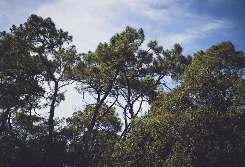 酒店 La Cote De Lumiere