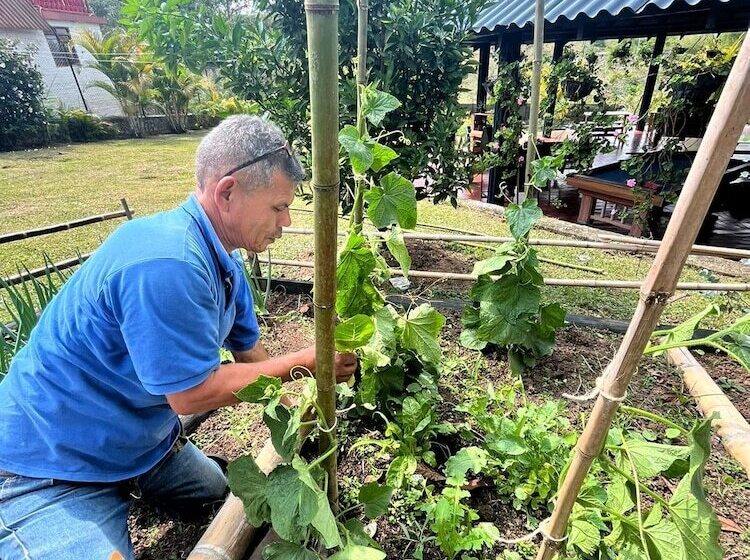 호텔 Natural Luxury