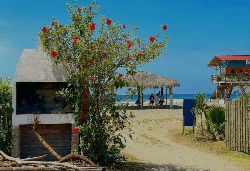 هتل Palma Coco Ayampe