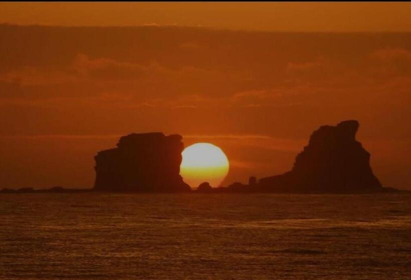 هتل Palma Coco Ayampe