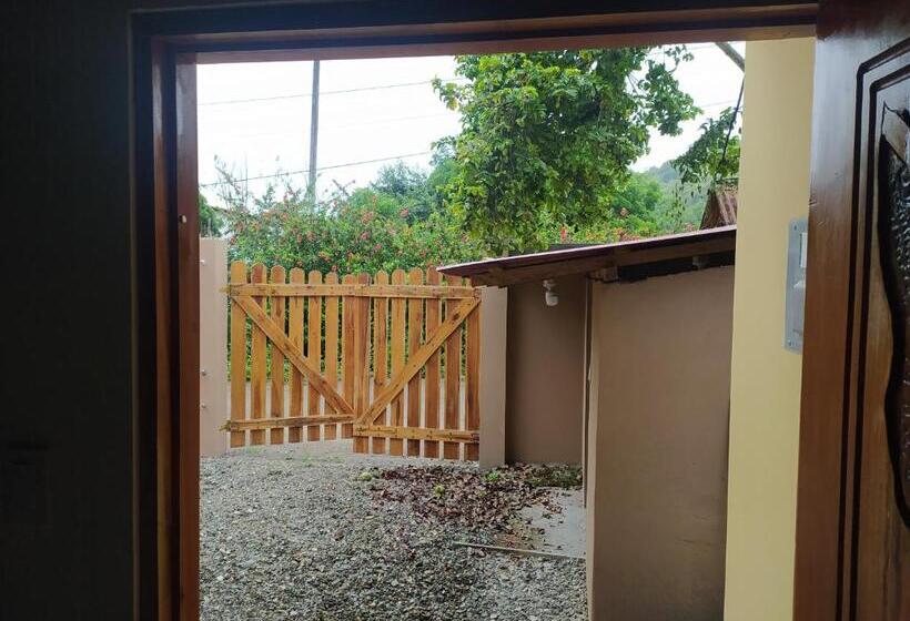 هتل Palma Coco Ayampe