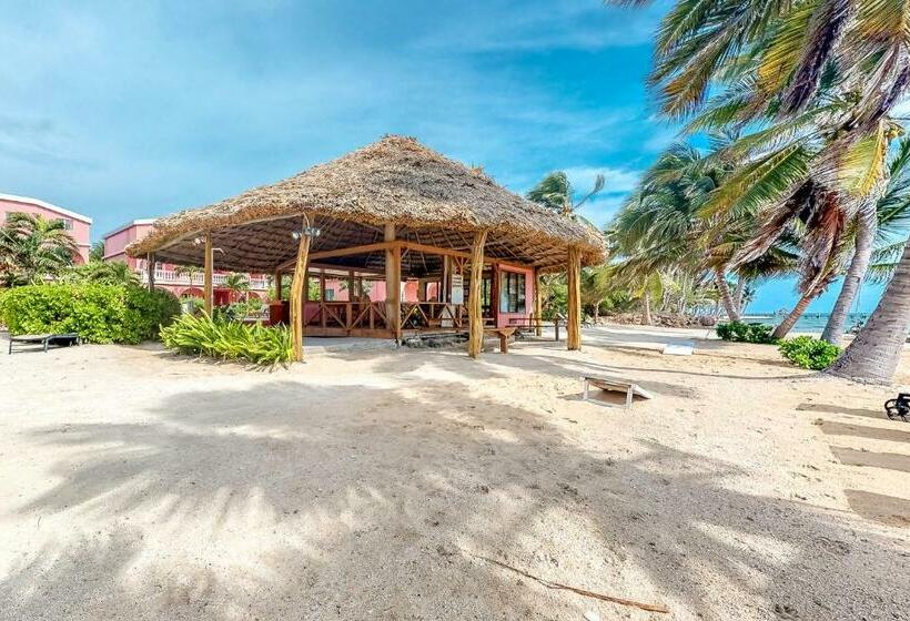 Отель Saponaria 21 22 At Caribe Island Gold Standard Certified