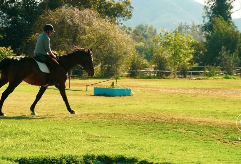 בית מלון כפרי Texas Limache