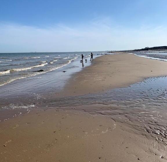 Meadows 3 New Beach Holiday Park