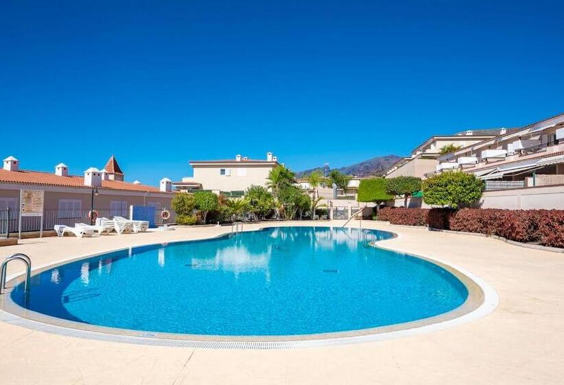 Modern Bright And Welcoming Ocean View Apartment