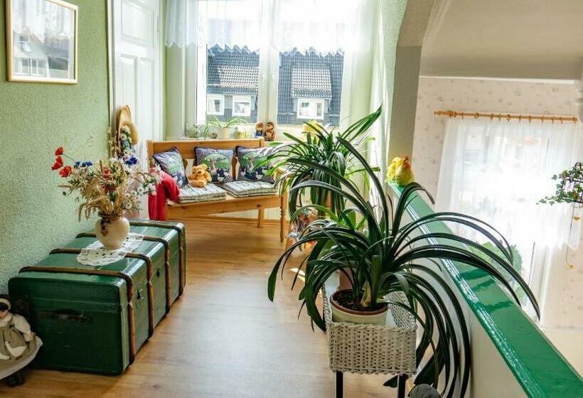 Pension Villa Immergrün