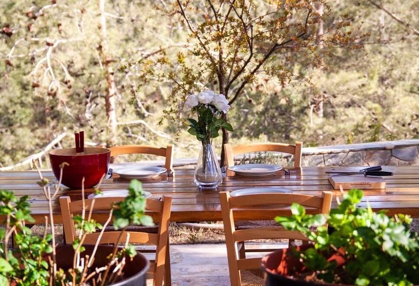 Phaedrus Living: Forest View Luxury Villa Chantara