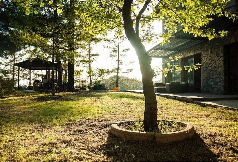 Phaedrus Living: Forest View Luxury Villa Chantara