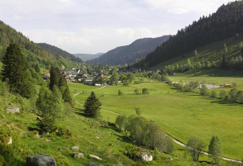 Schwalbennest   A69066