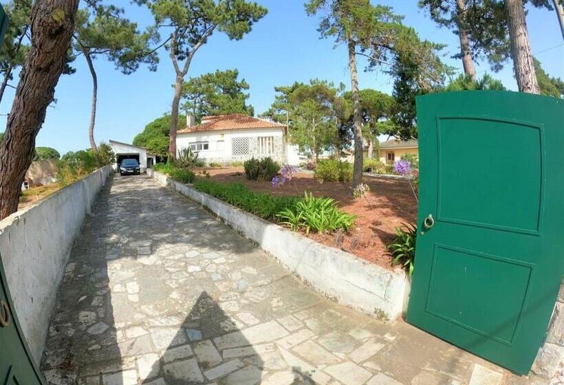 Sintra V4 House With Garden In Colares