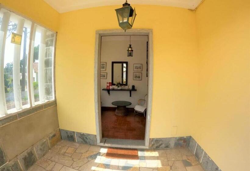 Sintra V4 House With Garden In Colares