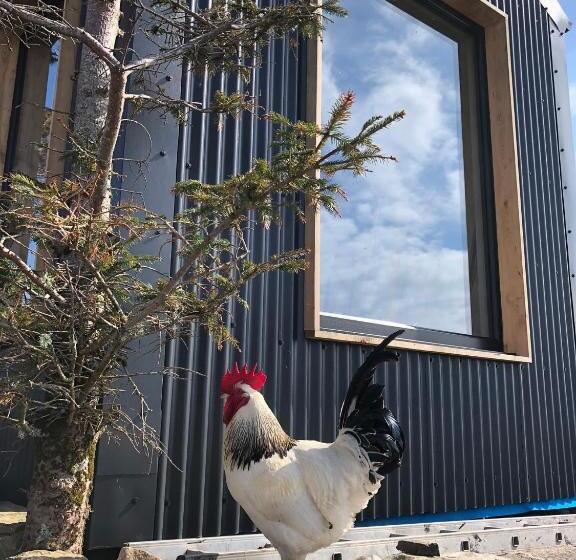 Stunning 1 Bed Tiny Home In Isle Of Skye