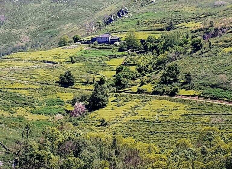 Albergue Escanlar