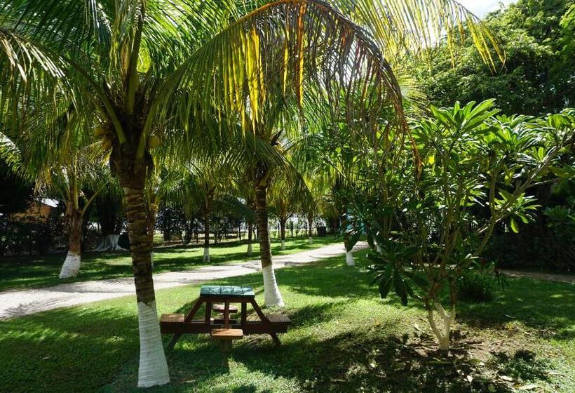 הוסטל Mana Kai Camping & Cabins