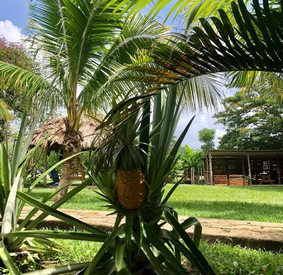 فندق صغير Mana Kai Camping & Cabins