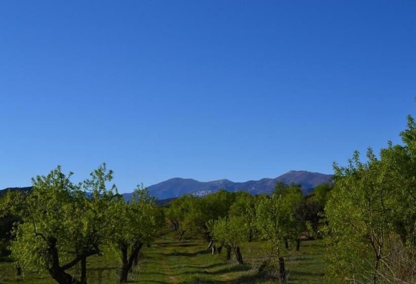 ユースホステル Rincón De Guara