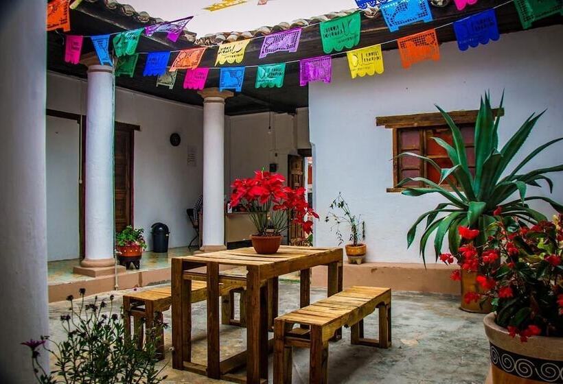 هاستل Villa Coleta