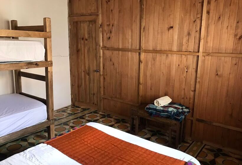 هاستل Villa Coleta