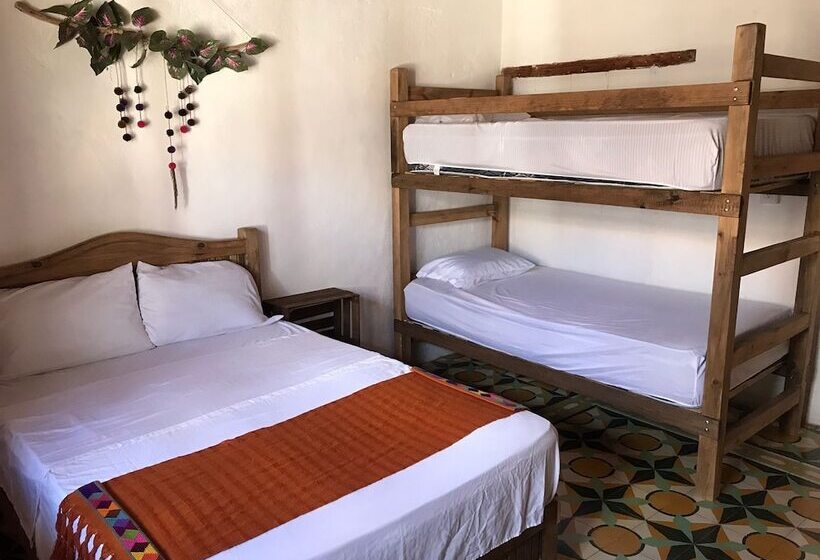 هاستل Villa Coleta