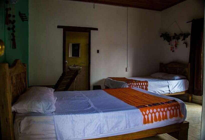 هاستل Villa Coleta