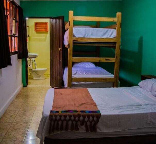 هاستل Villa Coleta