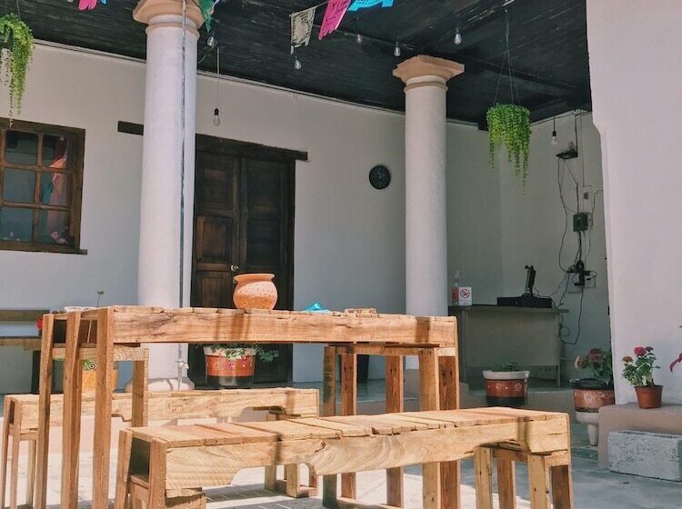 هاستل Villa Coleta