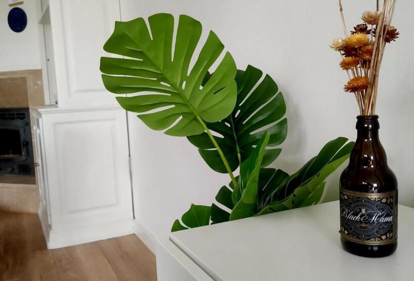 Amália Rodrigues  Apartamento Com 3 Quartos Em Pleno Coração De ílhavo