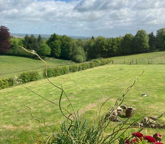 Bed and Breakfast Ash Tree